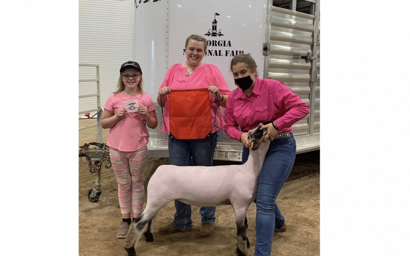 Photo submitted The Adams cousins Kaleigh, Avery and Abbey, are pictured during the Georgia National Fair in Perry. Abbey, pictured at right with her ewe, showed a sheep at the fair.