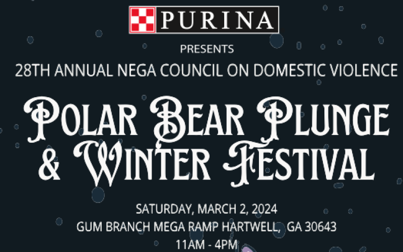 Polar Bear Plunge & Winter Festival 