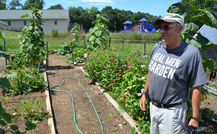 Hart County Community Garden leader Frank Spenger looks over his plots at the garden this past summer. 