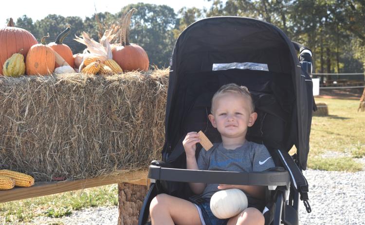 Anson Reno picked out his very own pumpkin during the Fall Harvest Festival at The Big Hart Farm.
