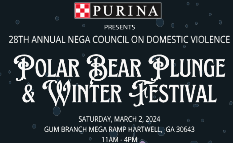 Polar Bear Plunge & Winter Festival 